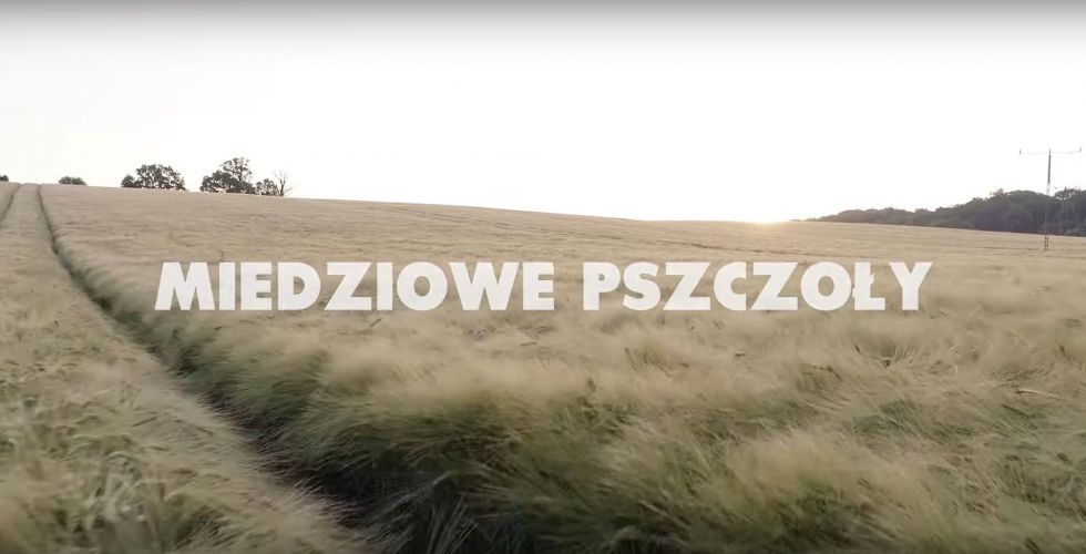 Uzdrowiska PGU i KGHM Polska Miedź razem dla ochrony pszczół